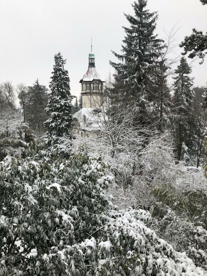 Villa Eden Mulhouse Buitenkant foto